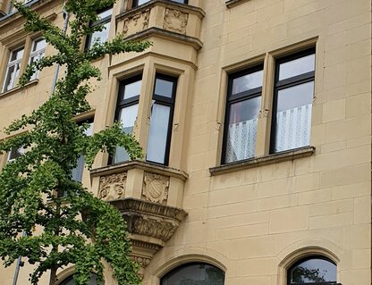 praxis-windows